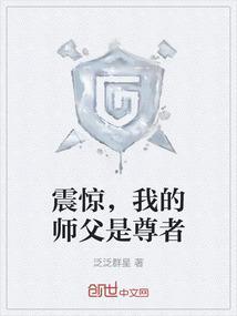 我的师傅是至尊