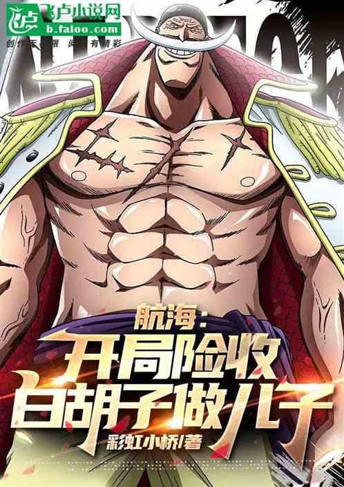 海贼开局投资白胡子卡夜阁