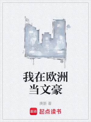 我在欧洲当文豪庚新