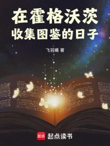 霍格沃茨之遗服装图鉴全收集