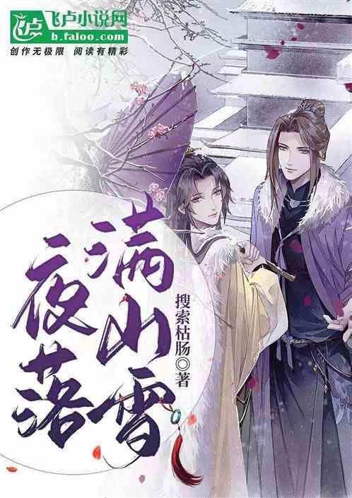 书名落雪满南山 作者明开夜合