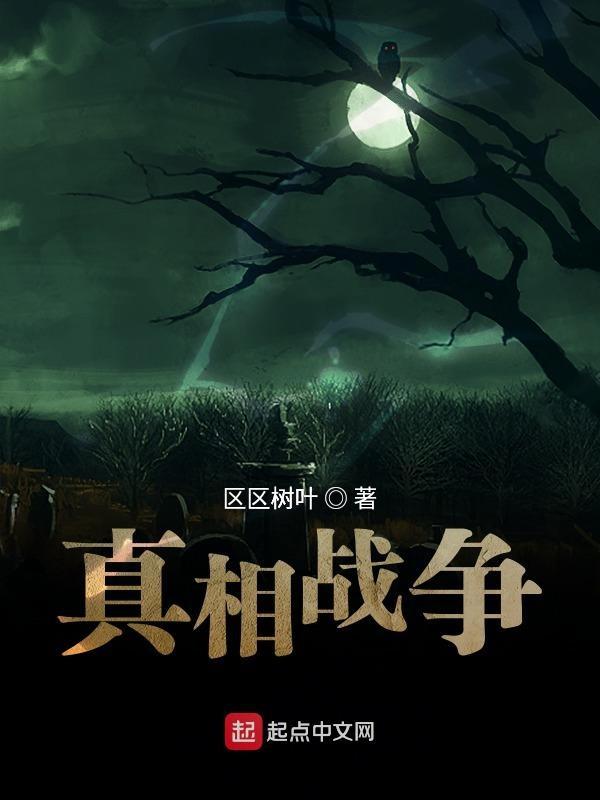 战争真相游戏攻略