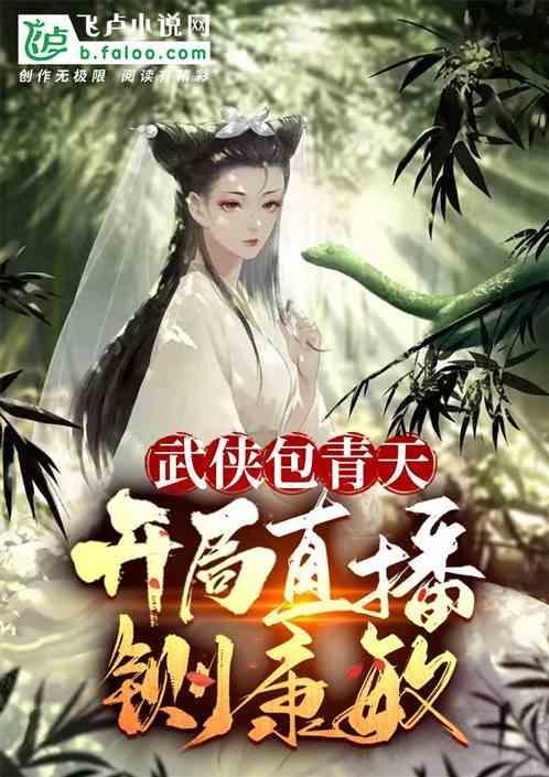 综武侠包青天