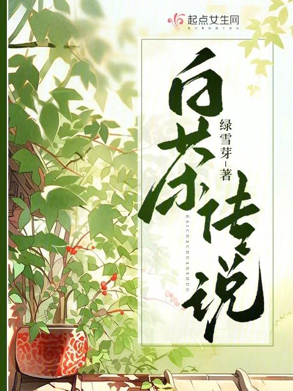 白茶知识与典故