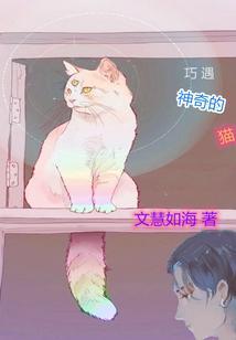 神奇的猫电影