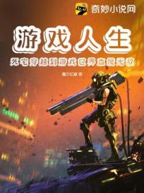 穿越到游戏人生的世界