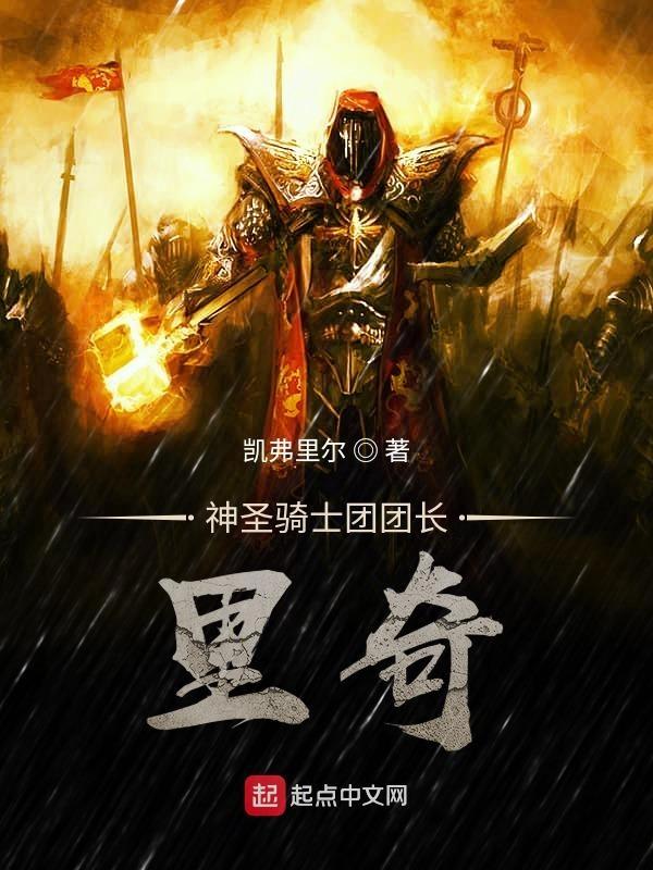 神圣骑士男主