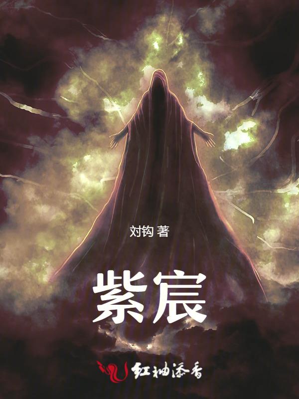 紫宸雷武免费阅读