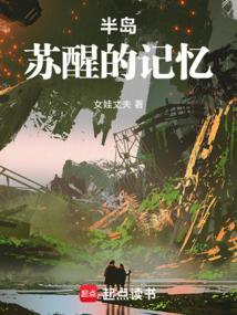 半岛记忆属于什么档次