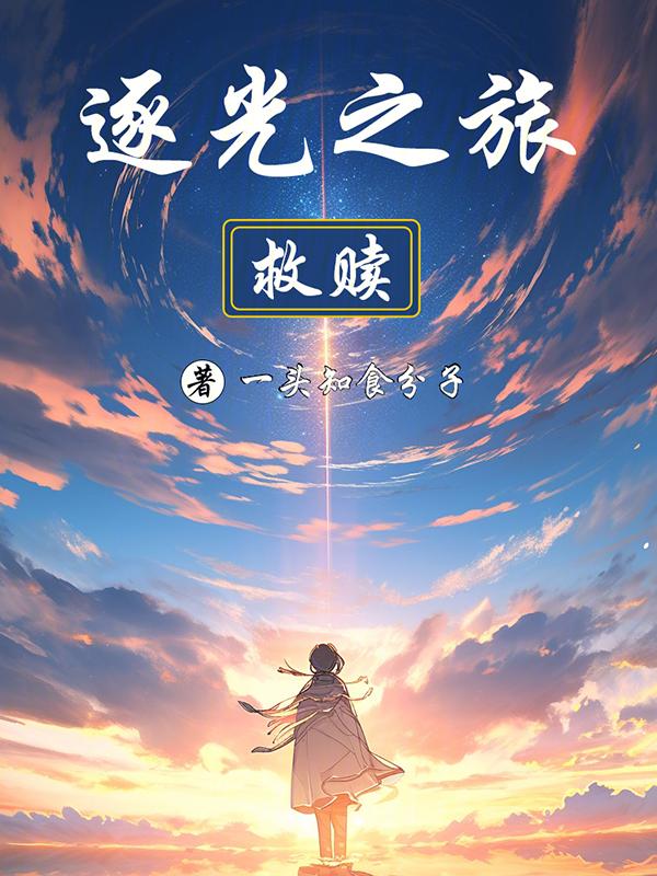 逐光之旅 游戏