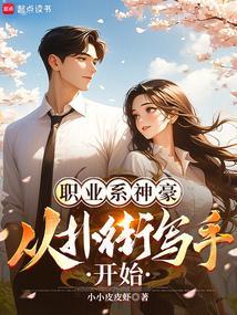 系统职业流