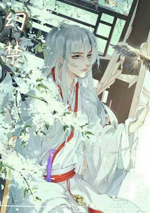 幻禁之眼