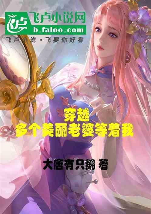 穿越娶几个老婆电视剧