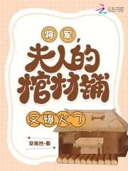 将军夫人的