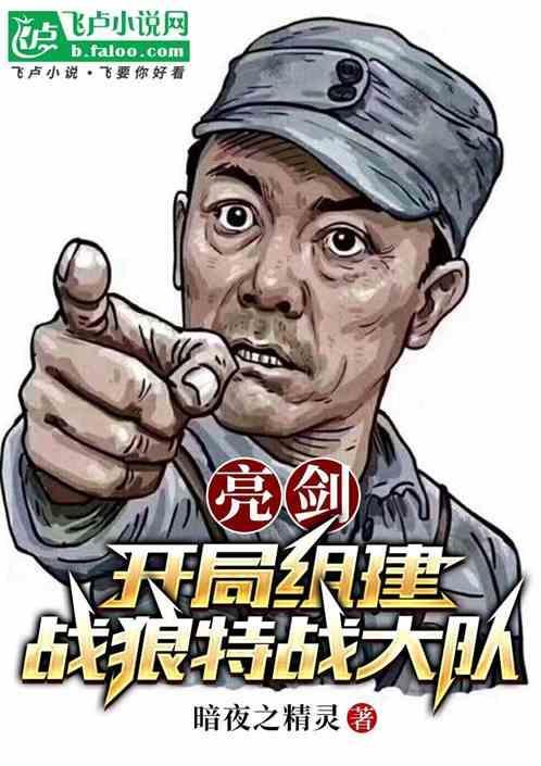 亮剑之特战精英