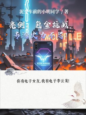 抗日战争亮剑