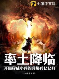 主角玩率土之滨的