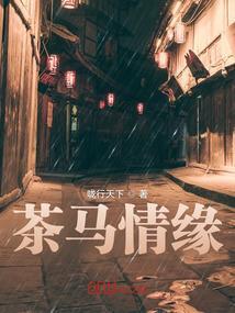 茶马互市图片