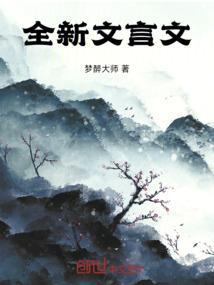 我的文言传记