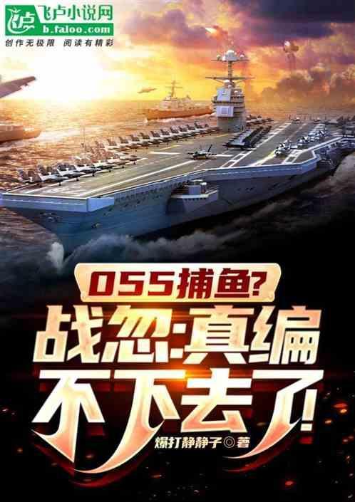055打击范围