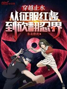 止水穿越海贼