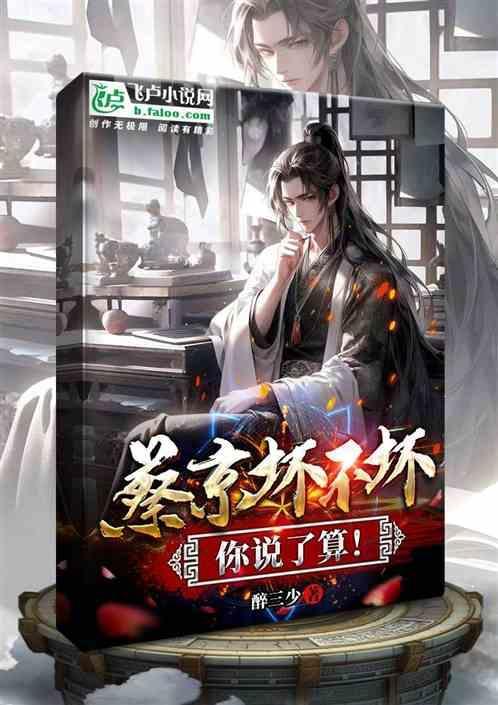 蔡京怎么评价