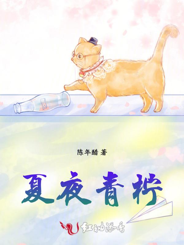 哪本女主角叫夏夜