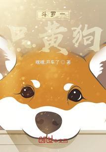 斗罗一斗罗二
