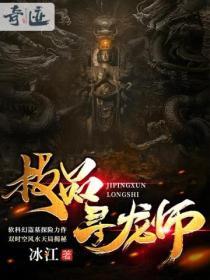 极品寻宝王美石