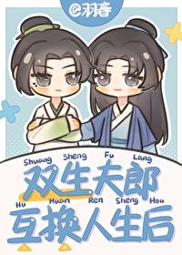 双生夫郎互换人生后txt番外