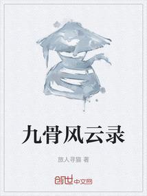九天风云录