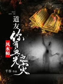 风水师道友