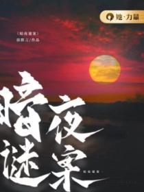 暗夜谜案2023免费观看张译秦岚版
