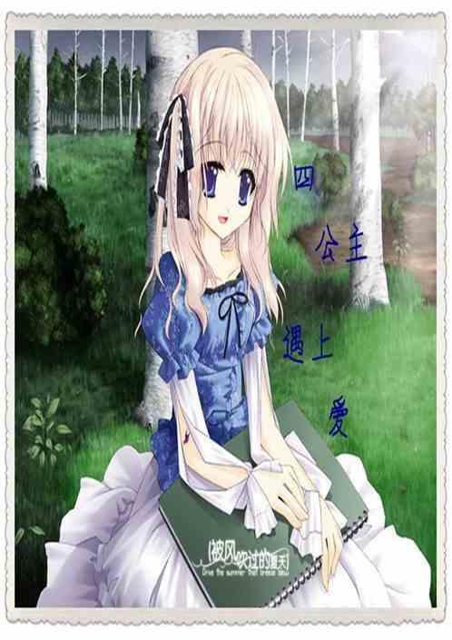 四公主百科