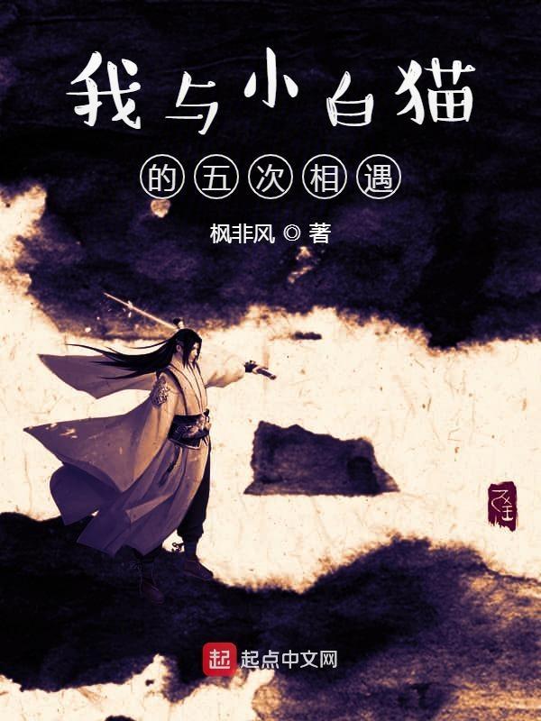 我与小白猫的五次相遇txt