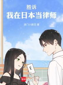 胜诉我在日本当律师TXTTXT