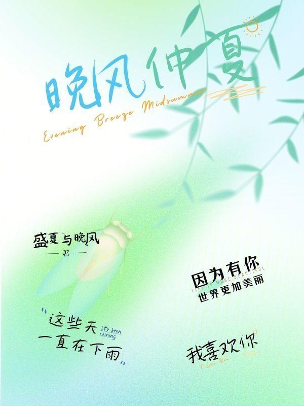 仲夏的晚风剧情简介