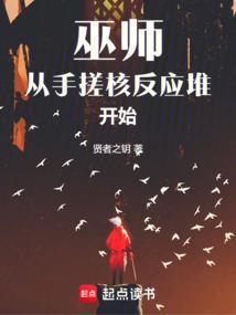巫师从手搓核反应堆开始笔趣阁