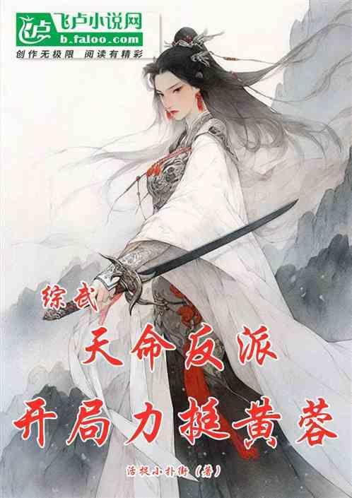 开局力挺黄蓉