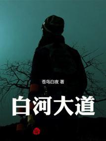白河大道在哪里