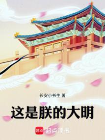 大明不可能这么富