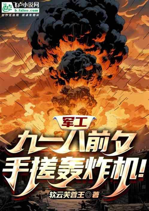 九一八东北军飞机