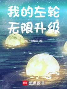 废土我的左轮无限升级