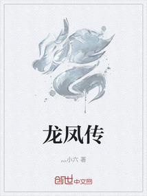 龙凤传奇电视剧