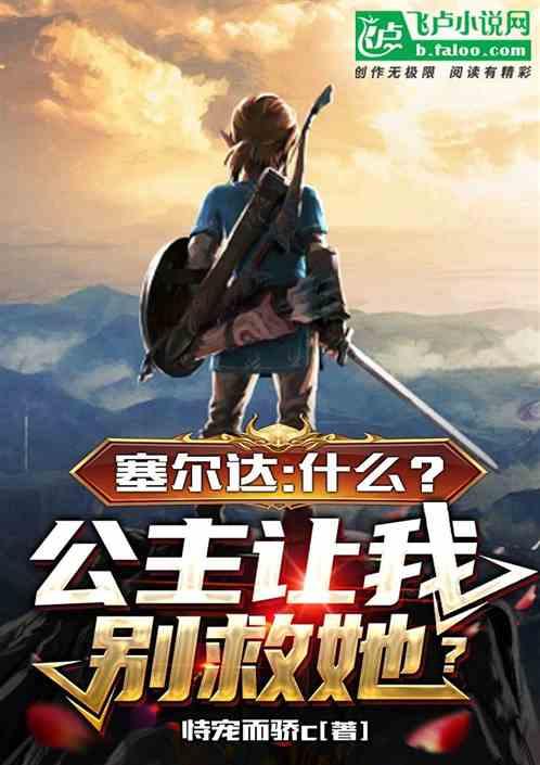 塞尔达传说 公主