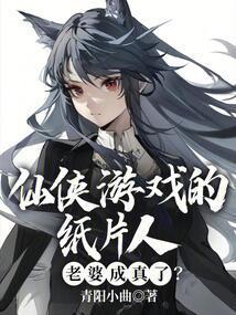 纸片人的游戏叫啥