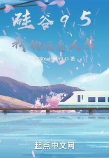 硅谷的样子