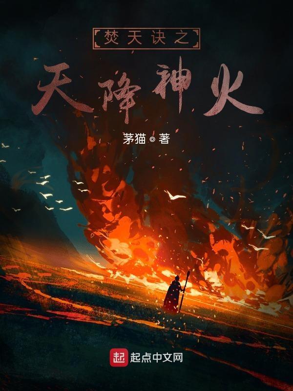 焚天绝神境界划分