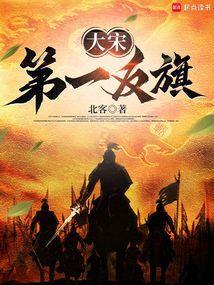 大宋第一反旗全文免费阅读