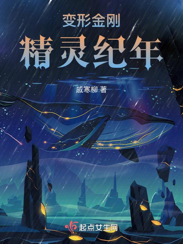 变形金刚2